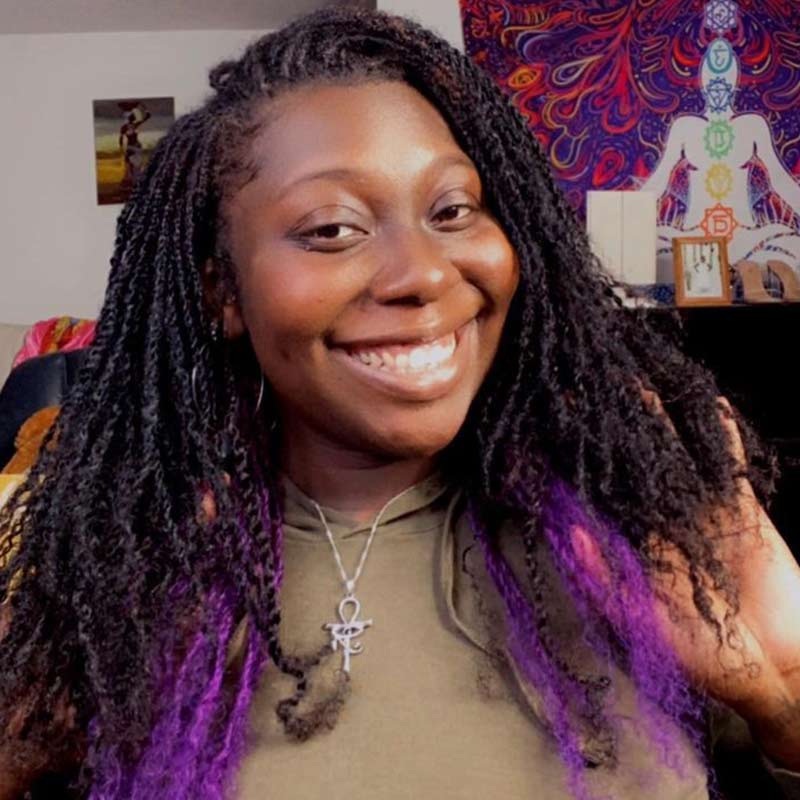 QVR #Purple+#1B Two Colors Afro Kinky Bulk Human Hair For Braiding DreadLock