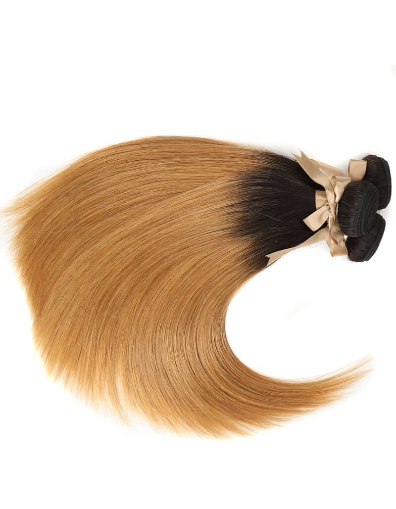 QVR Remy Human Hair 3 Bundles Straight Hair T1B/27